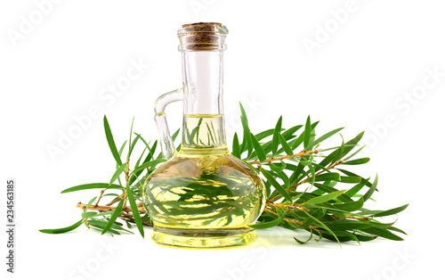 Tea Tree Essential Oil in a Glass Jug (Melaleuca). Isolated on White Background.