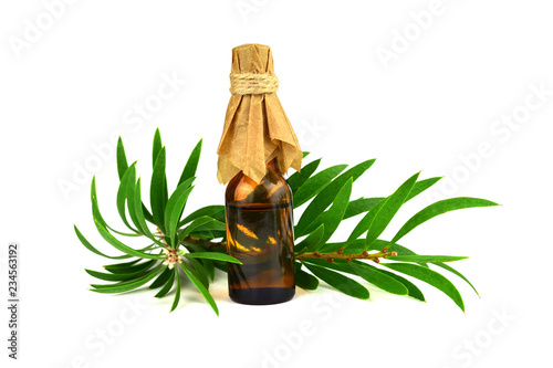 Melaleuca Essential Oil in a Bottle (Tea Tree). Isolated on White Background.