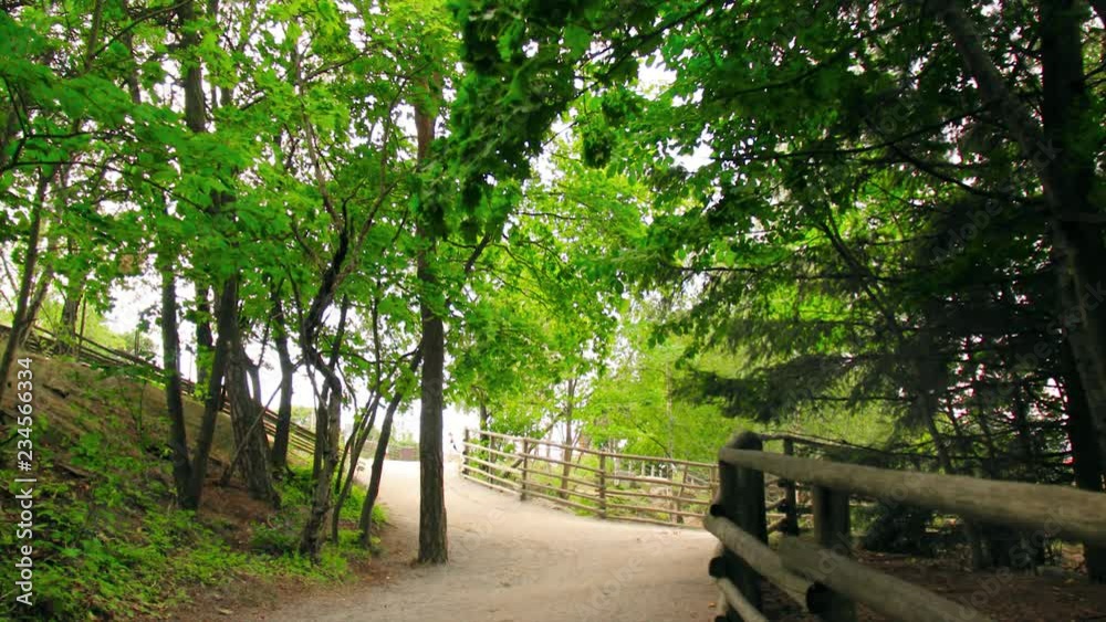 Beautiful wooden green pathway. Road, way of nature or landscape. Lot of trees an natural place for relaxing. Beautiful wooden green pathway. Road, way of nature or landscape. Lot of trees an natural place for relaxing.