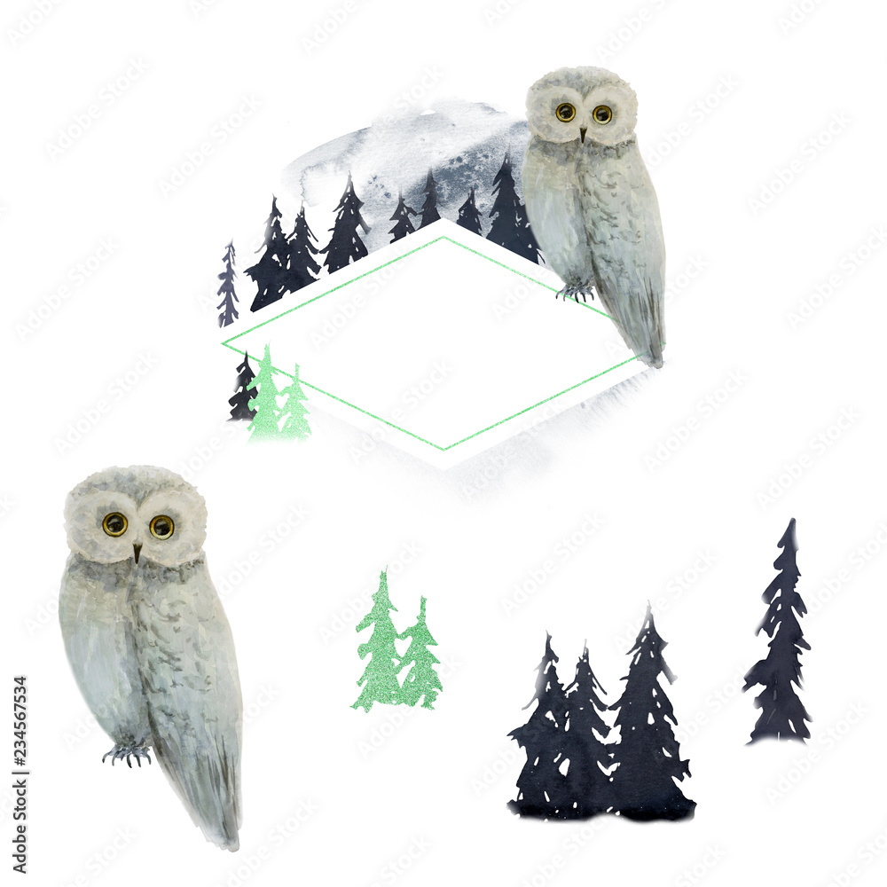 Fototapeta premium Winter watercolor owl in forest. Emerald frame. Logo