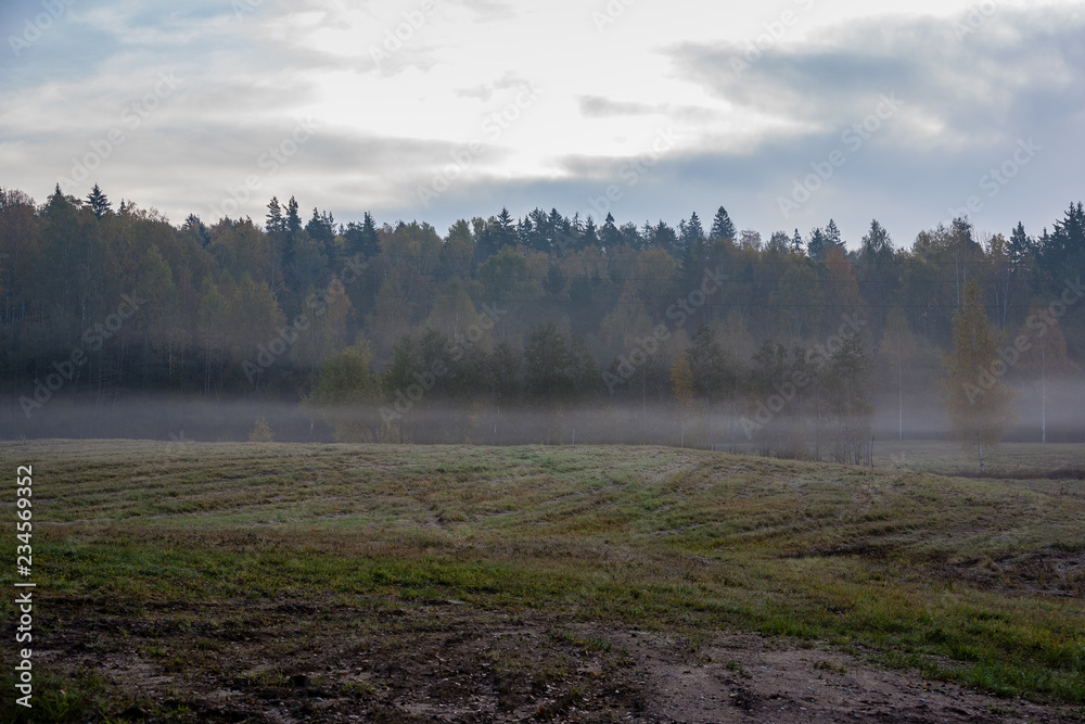 foggy country road in autumn with mist and asphalt