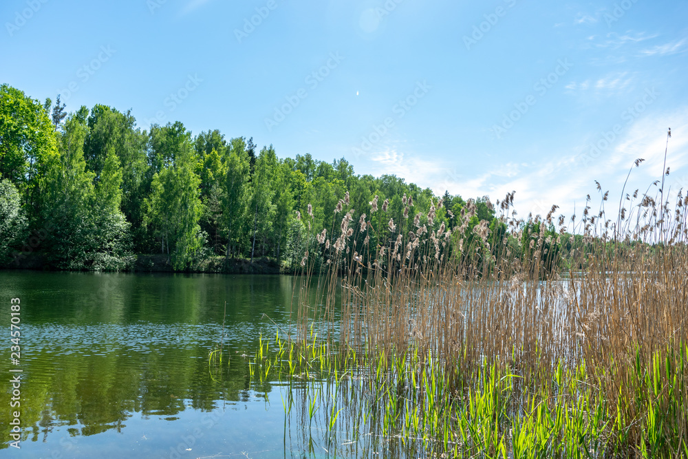 Fototapeta premium calm summer day view by the lake with clean water