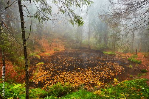 Fototapeta Naklejka Na Ścianę i Meble -  Lake in the forest, autumn time