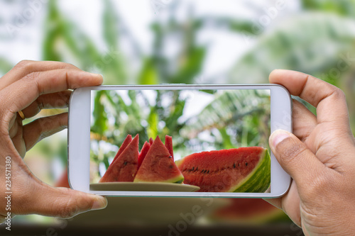 hands with smartphone photographing watermelon cut into fatis on table. photo