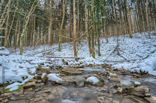 Wildbach im verschneiten Wald