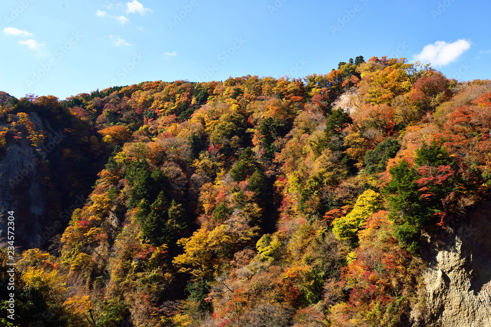 九酔渓の紅葉 九酔渓の紅葉