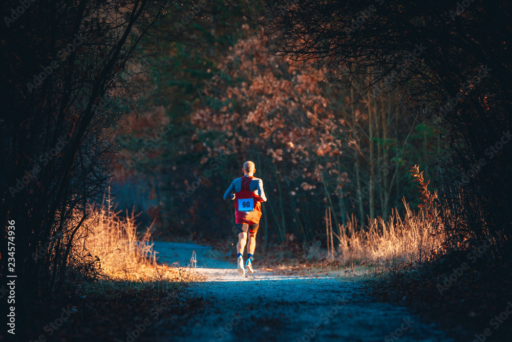 Naklejka Cross Country race: Athlete run in autumn forest