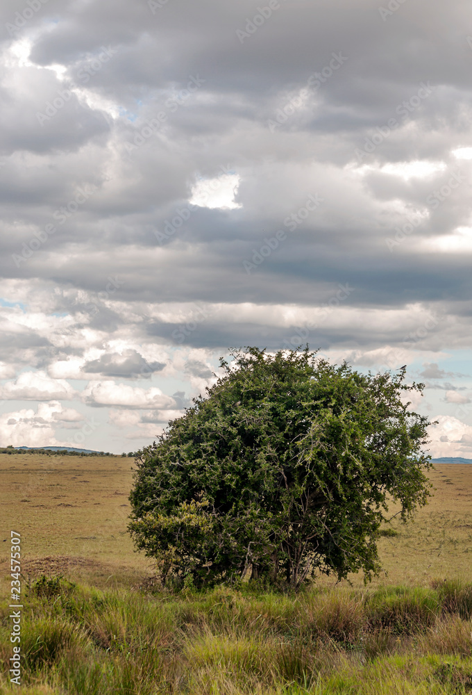 Kenya mountains on a cloudy day Kenya mountains on a cloudy day