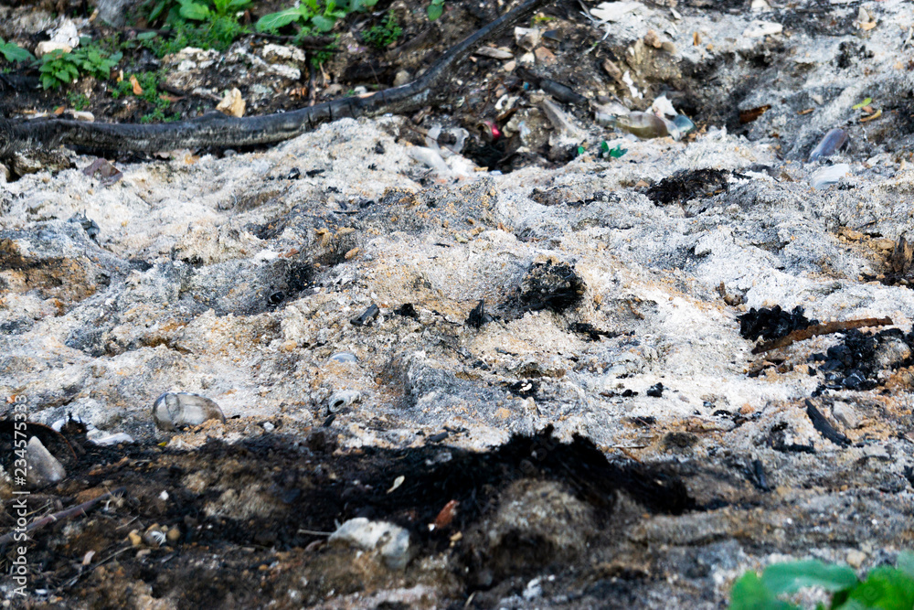A small piece of land is covered with ash and green grass. After burning the wood ash on the ground. fire consequences A small piece of land is covered with ash and green grass. After burning the wood ash on the ground. fire consequences