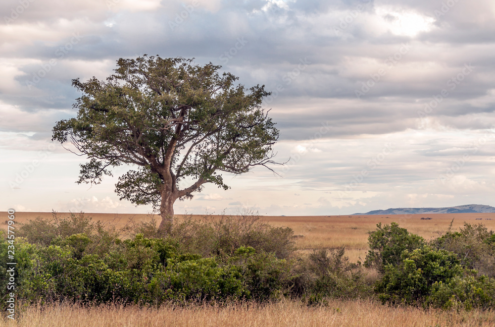 Obraz premium Kenya mountains on a cloudy day