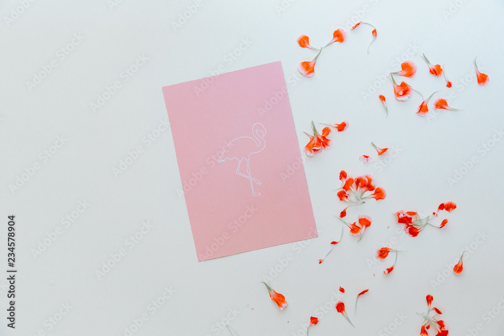 Flat lay pink card on white minimal background Flat lay pink card on white minimal background