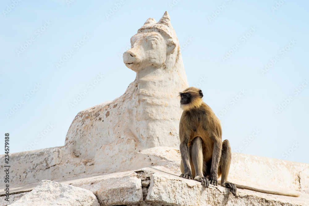 A cute langur monkey standing on a dog's statue in Hampi, Karnataka, India.