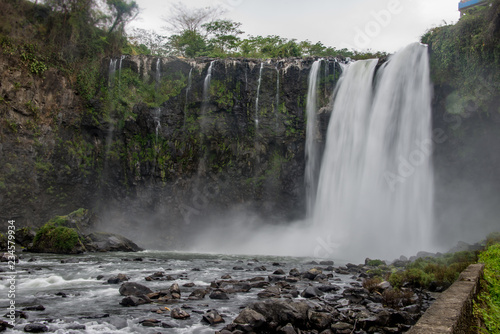cascadas en la selva verde de Tabasco Mexico