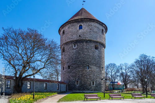 Fototapeta Naklejka Na Ścianę i Meble -  Kiek in de Kok tower in Old Tallinn, Estonia
