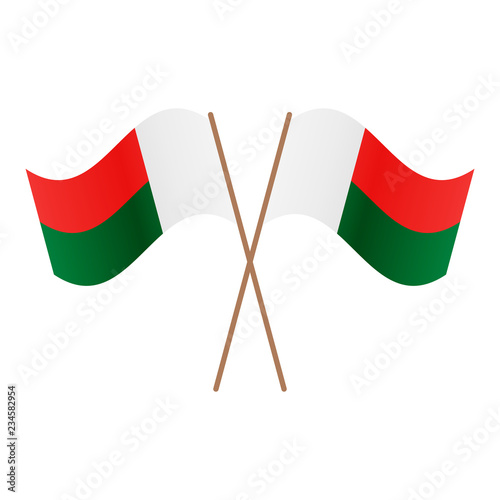 Symmetrical Crossed Madagascar flags photo