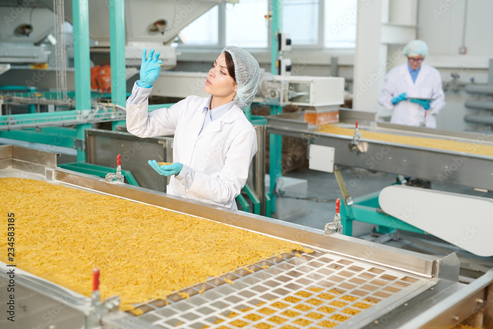 Modern Food Assembly Line