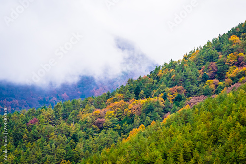 Beautiful landscape a lot of tree with colorful leaf around the mountain
