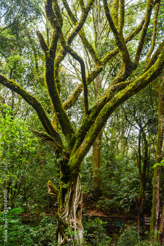 Parque nacional Barranca del Cupatitzio