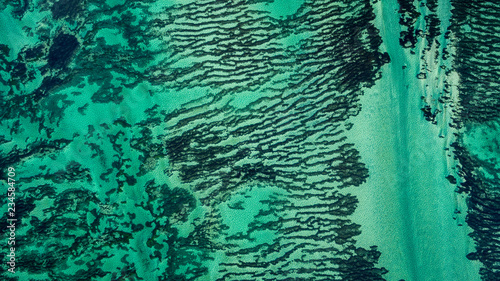 Vertical aerial drone view of seagrass meadows and headlands in the World Heritage Listed Shark Bay Conservation Area. photo