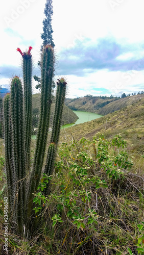 Laguna de Yambo