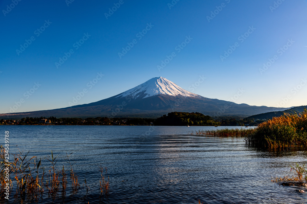 Mt. Fuji from Kawaguchiko