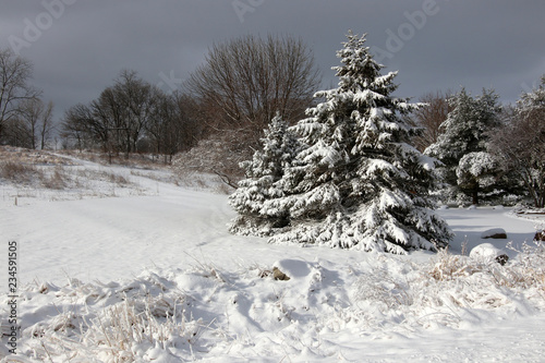 Beautiful Wisconsin winter nature background. Rural morning landscape with field and trees covered by snow after heavy blizzard.
