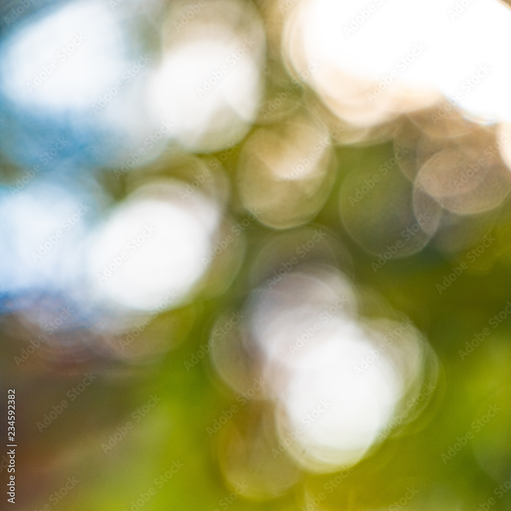 Obraz premium Green Forest Abstract