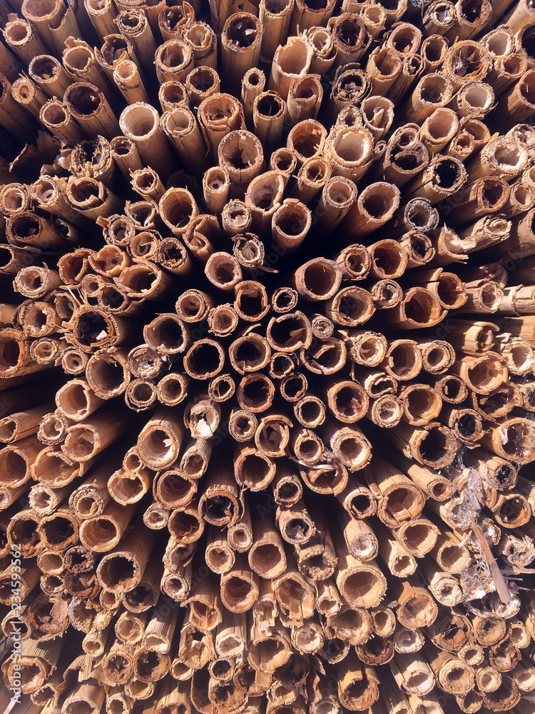 Wood logs pile for interesting background ideas. Wood logs pile for interesting background ideas.