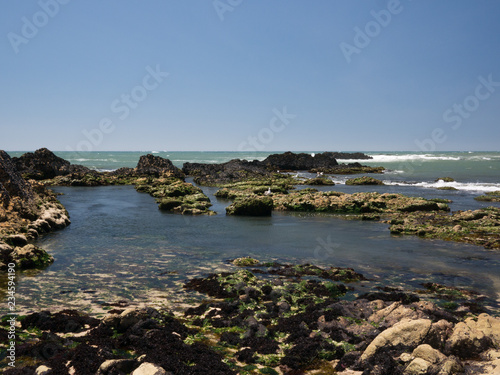 Rock pools on a beach in Northern Portugal on sunny day with blue sky and ocean in background.