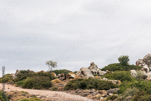 Small unpaved road