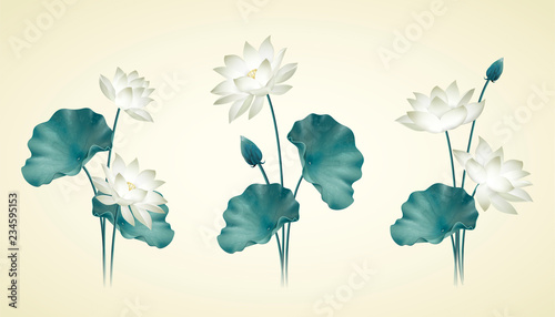 Graceful white lotus and leaves