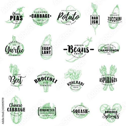 Farm vegetables vector sketch lettering