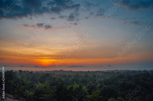 The mist covered the trees in the morning when the sun was rising.