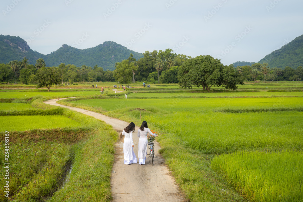 Rural landscape in Vietnam countryside with Vietnamese women wearing traditional dress Ao Dai walking on rural road Rural landscape in Vietnam countryside with Vietnamese women wearing traditional dress Ao Dai walking on rural road