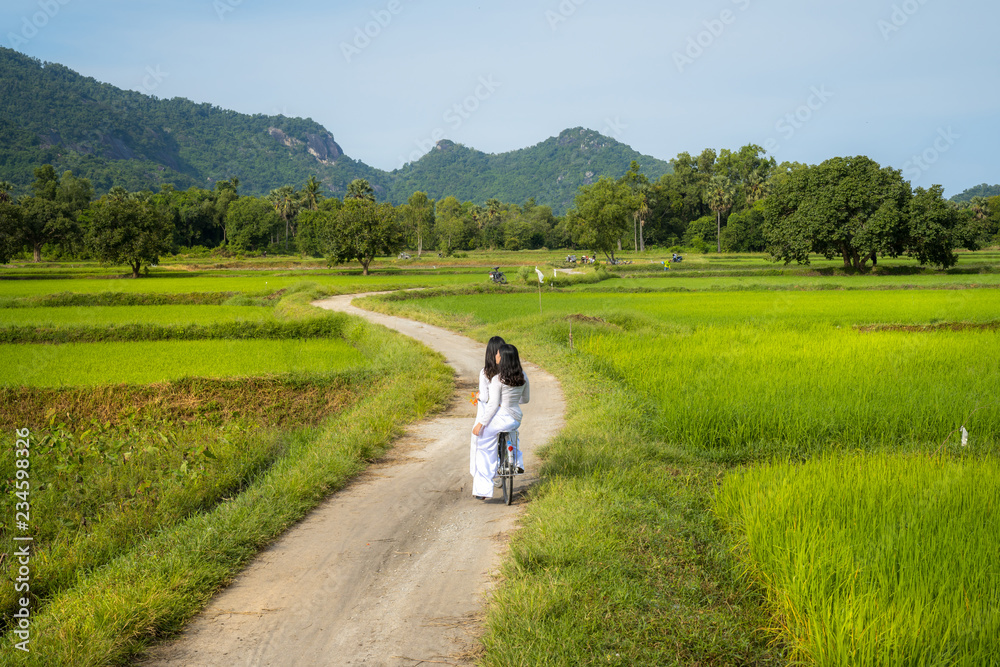 Rural landscape in Vietnam countryside with Vietnamese women wearing traditional dress Ao Dai cycling on the road