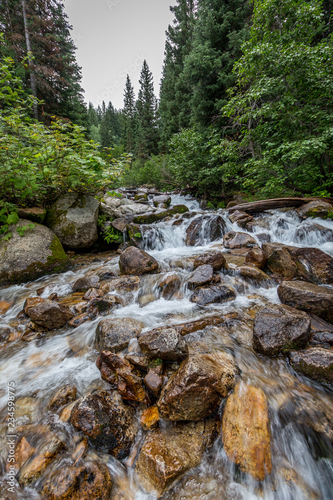 Naklejka premium Mountain River Cascade