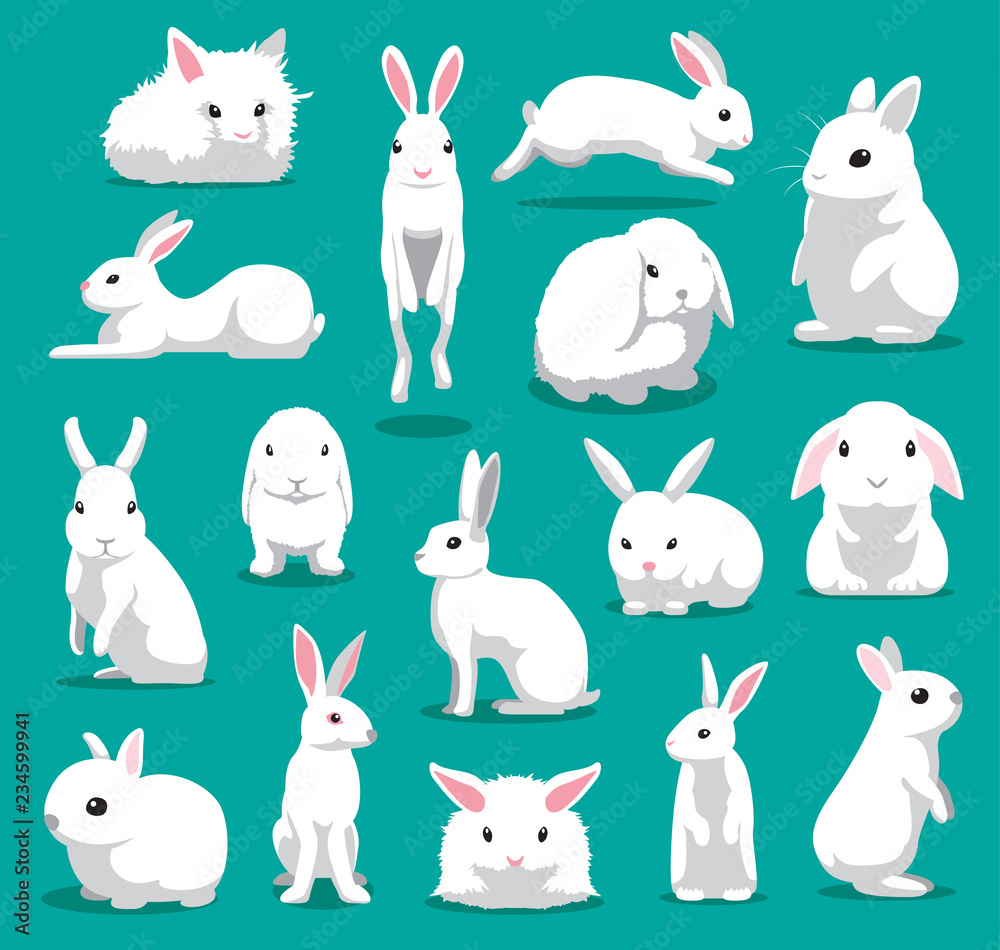 Fototapeta premium Ładny biały królik stwarza ilustracja kreskówka wektor