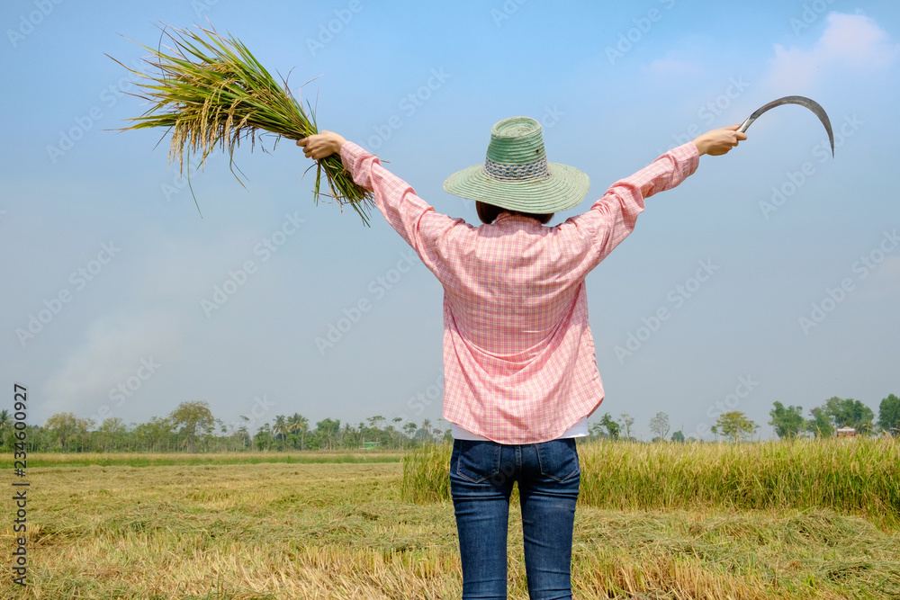 farmer woman wear hat holding sickle 