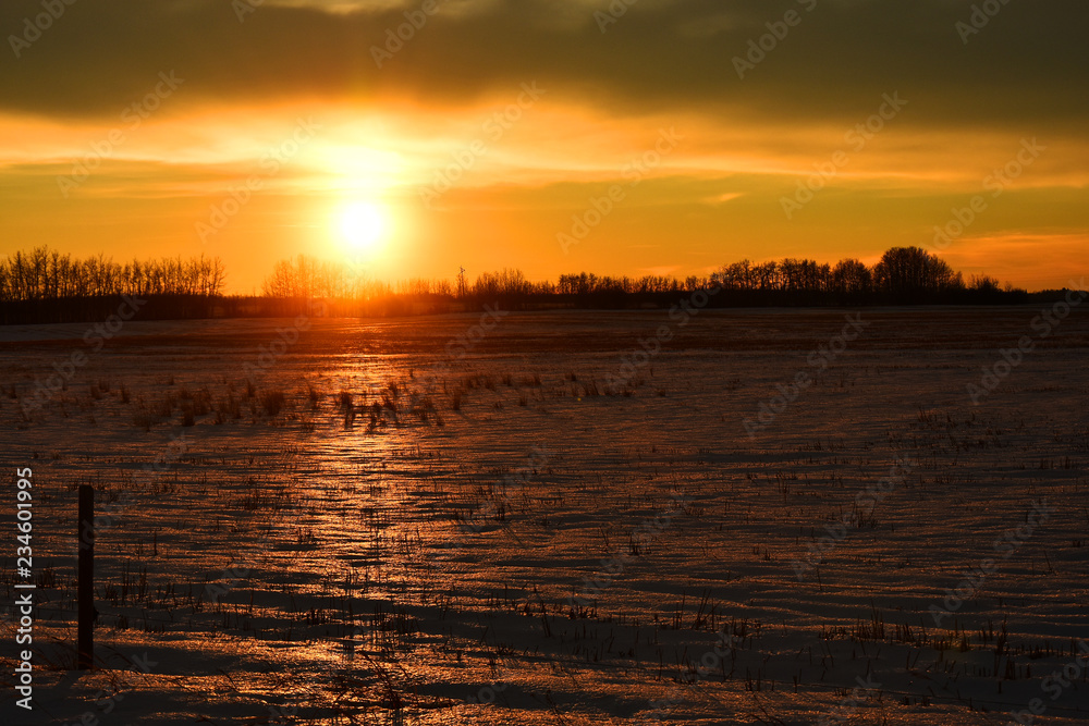 Snow Covered Field at Sunset