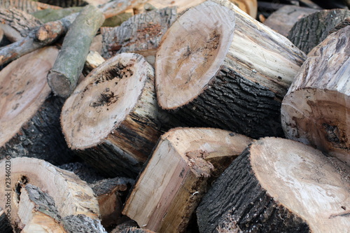 Wood logs pile for interesting background ideas. 