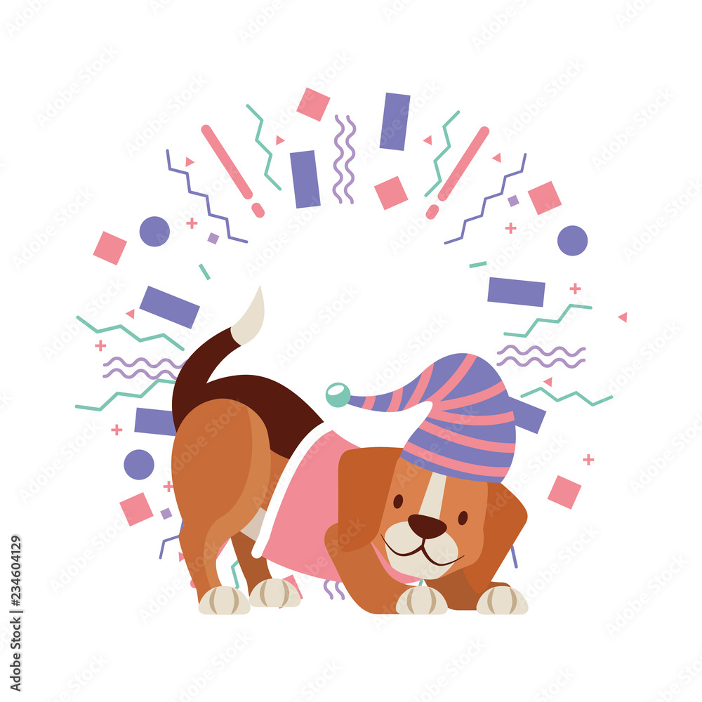 dog party celebration