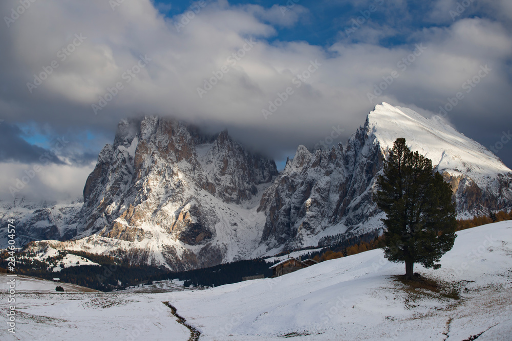 Alpe de Siusi in winter