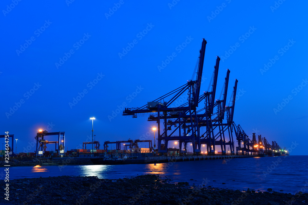 Fototapeta premium Port crane bridge and bulk carrier