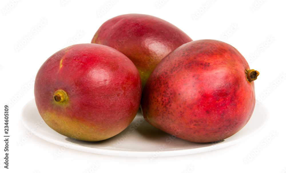 Mango on white plate isolated Mango on white plate isolated