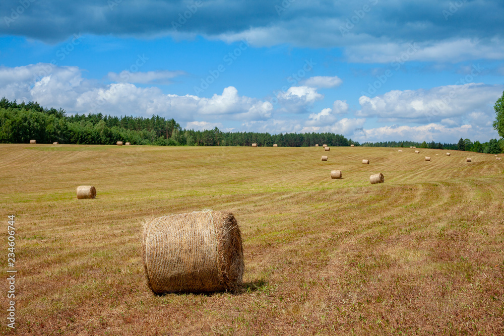 Hay Bales in rural field