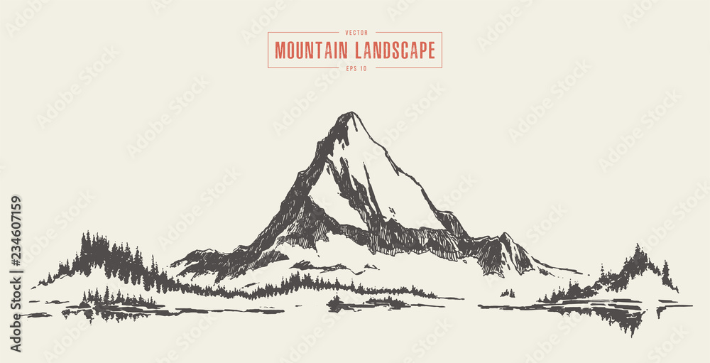 Vector of a mountain peak fir forest lake drawn