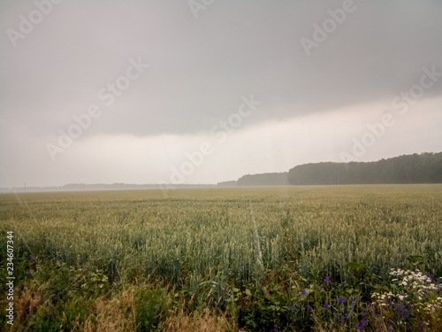 rain above the field