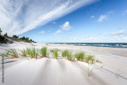 Fototapeta Naklejka Na Ścianę i Meble -  In the dunes of the Baltic see.