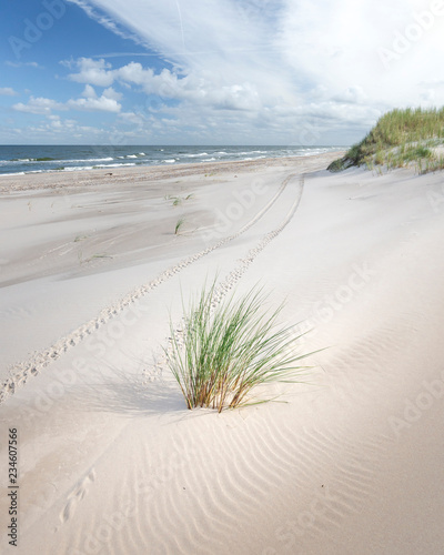 In the dunes of the Baltic see.
