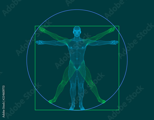 Vitruvian man. Wireframe human body. Vector outline illustration photo